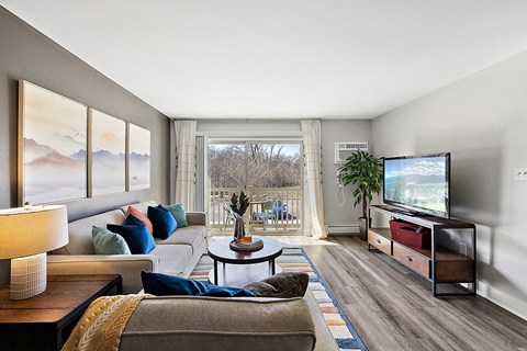 a living room with a couch and a tv